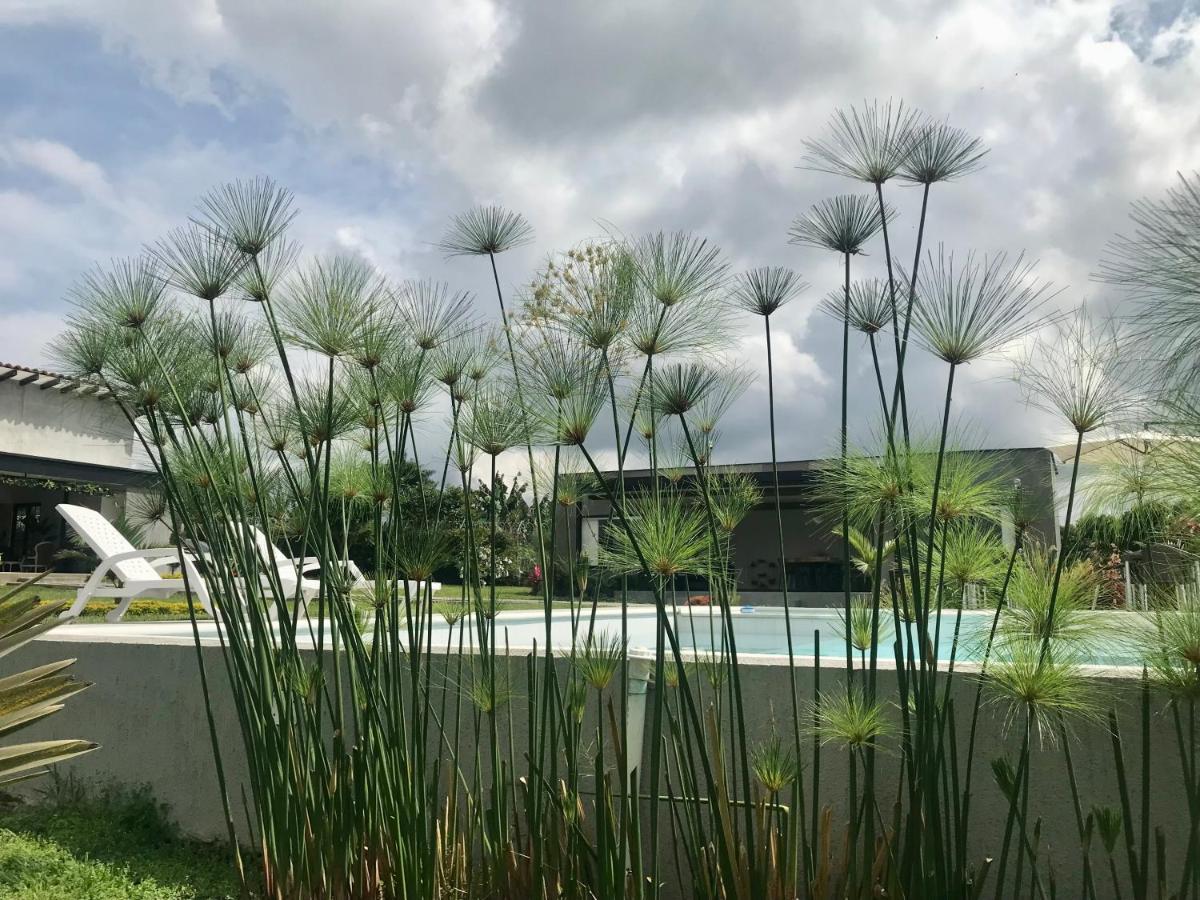 Torcaza Casa De Campo 金巴亚 外观 照片